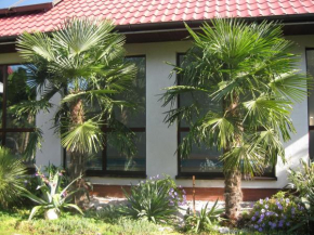 Pokoje Gościnne Pod Palmami, Busko-Zdrój